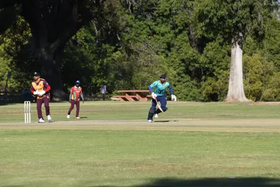 DSC_2336 (Large).JPG